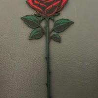 Rose avec tige